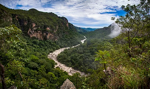 Deforestation slashed by 55 per cent in Afro-descendant lands: Study