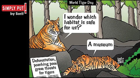 Simply Put: International Tiger Day