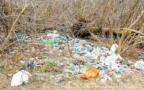 Global Plastic Profiles 2025: Article 9 points to legacy polymer waste, but lacks ambition