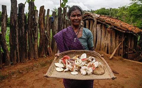 The Baigas’ forest cuisine can be preserved only if the jungles are