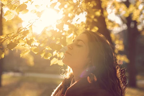 How letting your mind wander can reset your brain