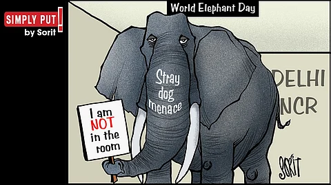 Simply Put: World Elephant Day 2025