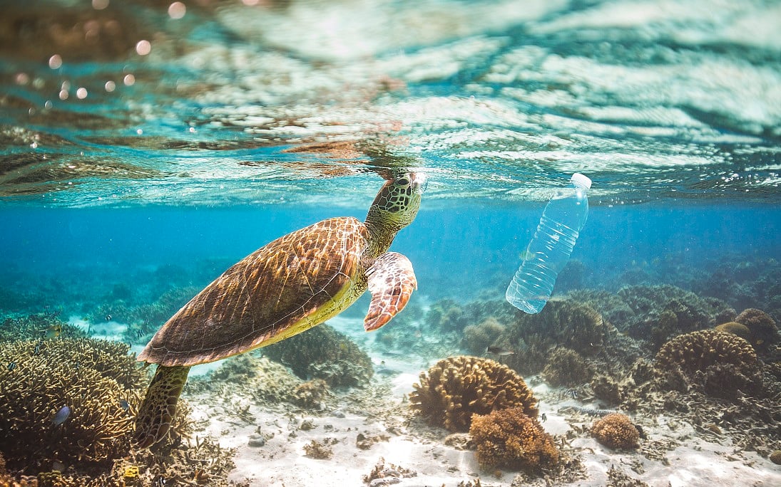 How microbes could help solve the world’s plastic pollution crisis