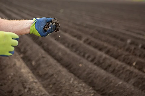 Soil science blind spots leaving poorest nations exposed to climate and biodiversity loss, warn scientists