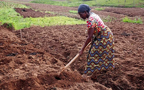 33 million women grow food on plots in sub-Saharan Africa. Greener farming can boost their earnings — study