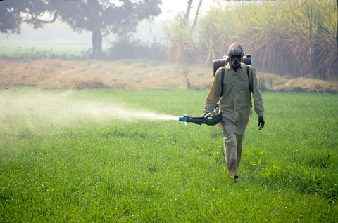 Urea shortage in Telangana sparks political row as farmers queue for fertiliser