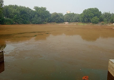 Red algal blooms are a biological red flag, a signal that our water bodies are in distress