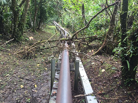 Indigenous nations denounce Ecuador–Peru oil deal as illegal, demand California end imports driving Amazon destruction