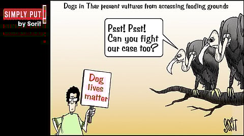 Simply Put: Vultures vs dogs