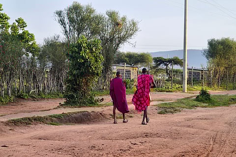 Protected areas must be harmonised with the socio-economic realities of nearby communities, says study 