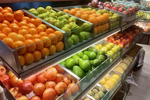 Exotic flavors and unseen allies: Supporting pollinators for evolving urban diets