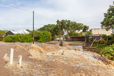 Should governments pay businesses for climate disasters? Researchers unpack huge lawsuits in South Africa