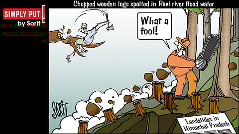Simply Put: Chopped logs in flood water
