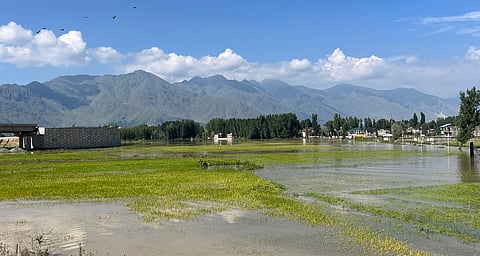 Flooding on outskirts of Srinagar due to breach in the Jhelum