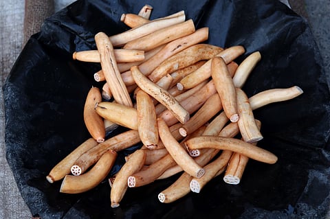 My Food Story: Main stem of the matter
