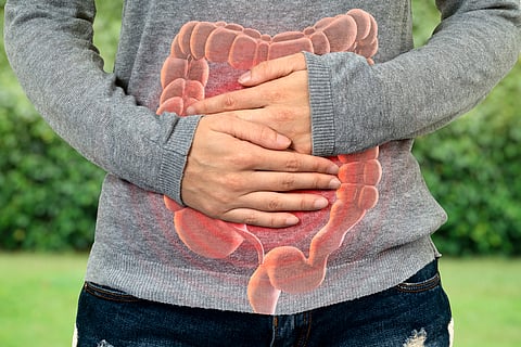 Avian influenza affects humans gastrointestinal tract causing symptoms such as diarrhoea, vomiting