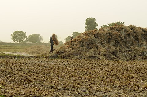 Need roadmap, storage and pricing reform to drive green fuels: Industry urges govt 