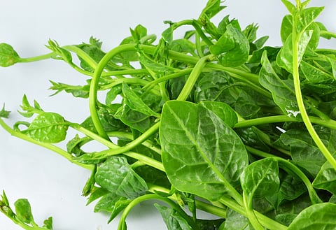 My Food Story: A bit Odisha nostalgia, with marble spinach