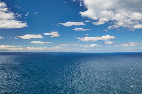 BBNJ treaty receives 60 ratifications, will enter into force to protect marine life in international waters in January 2026