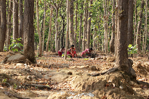 Most countries still failing to recognise community-led conservation, new report warns