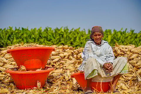 Global farmers alliance warns against seed treaty reforms that threaten farmers’ rights