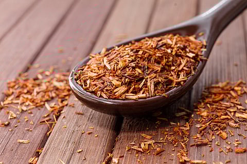 South Africa’s rooibos tea: can it improve digestion?