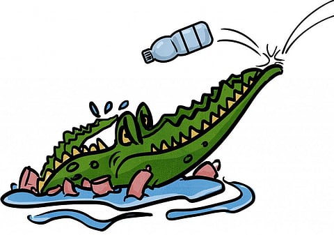 Gobar Times: Magar, the crocodile, cleans his river home