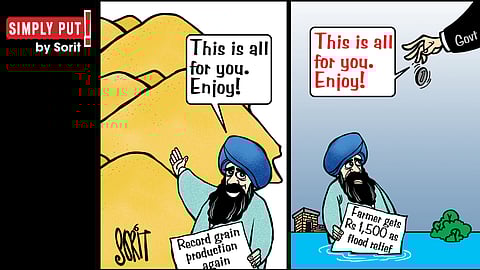Simply Put: Punjab paradox