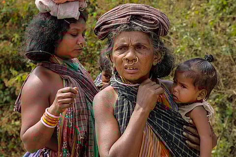 More global funding flowing for Indigenous Land Rights but big gaps remain