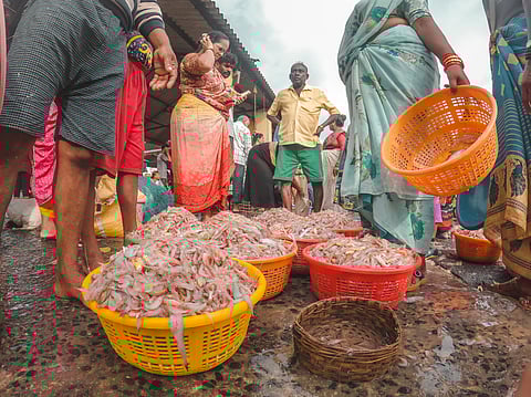 Turmoil in waters: Climate change, US tariffs and Indian fisherfolk's struggles