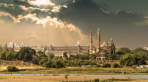 Awadh’s hidden Eden? There is still incredible biodiversity in bustling, historic Lucknow’s Kukrail forest, finds study