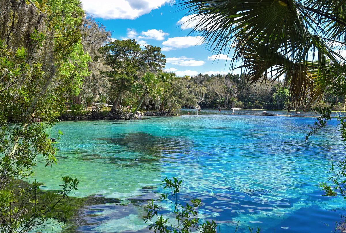 Florida Springs Crisis: Restoring 1,100 Threatened Natural Springs