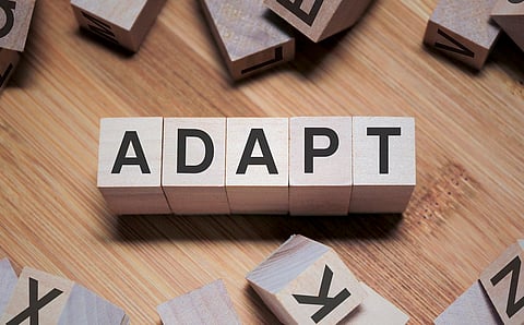 India pushes adaptation finance to the forefront ahead of COP30