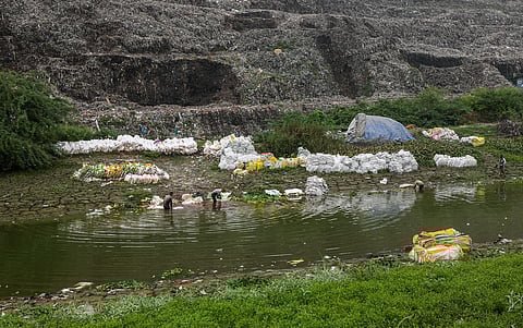 Survival near toxicity in Delhi