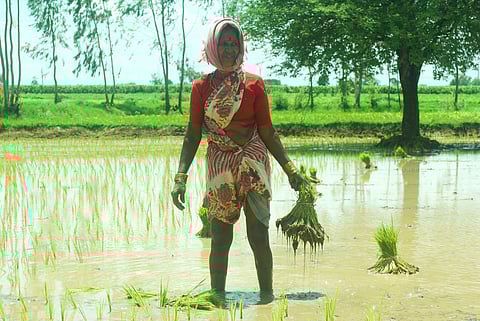 National Women Farmers’ Day: India’s natural farming policies risk perpetuating gender bias, burdening women in agriculture