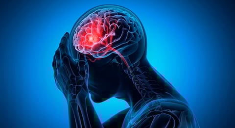 11 million deaths yearly: WHO report calls for urgent action on neurological care