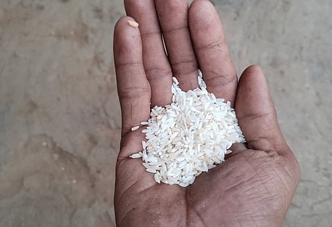 World Food Day 2025: A hungry world knows no borders