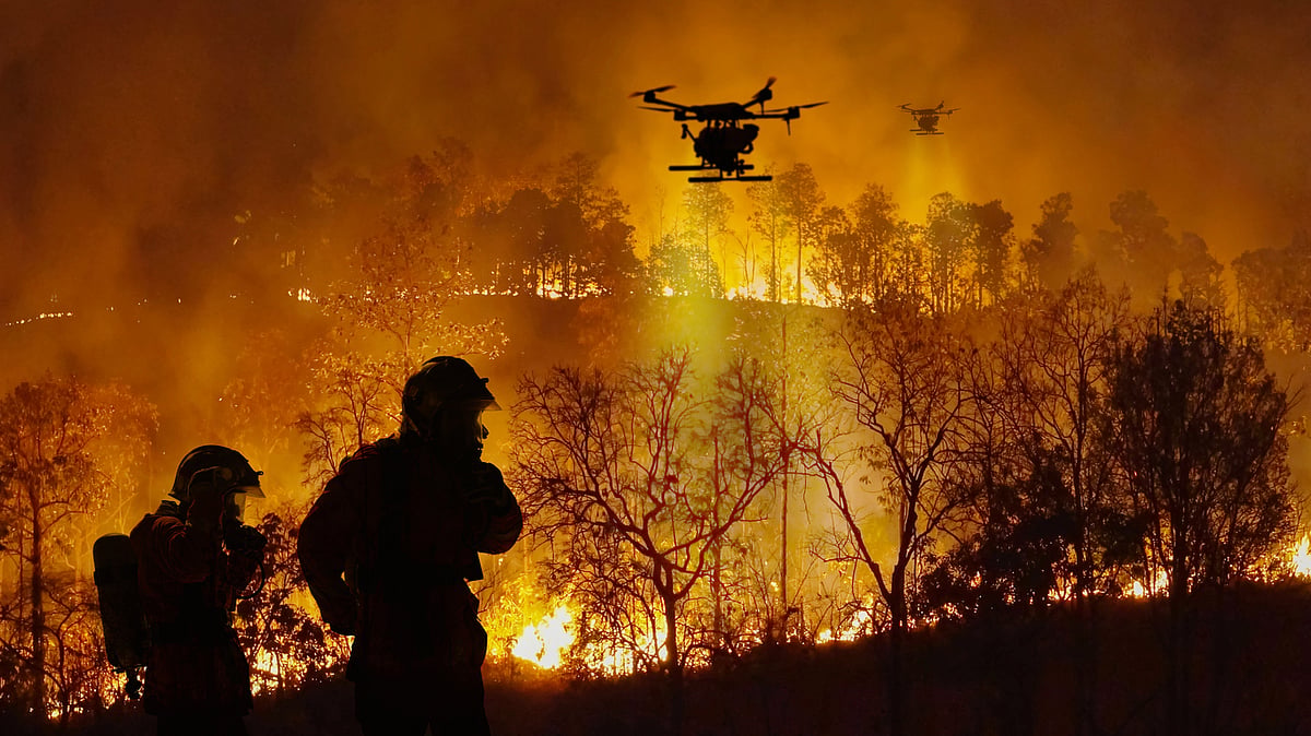 Climate Crisis Impact: Extreme Fires Intensify Globally Due to Climate ...