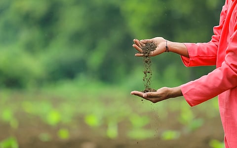 Let soil live