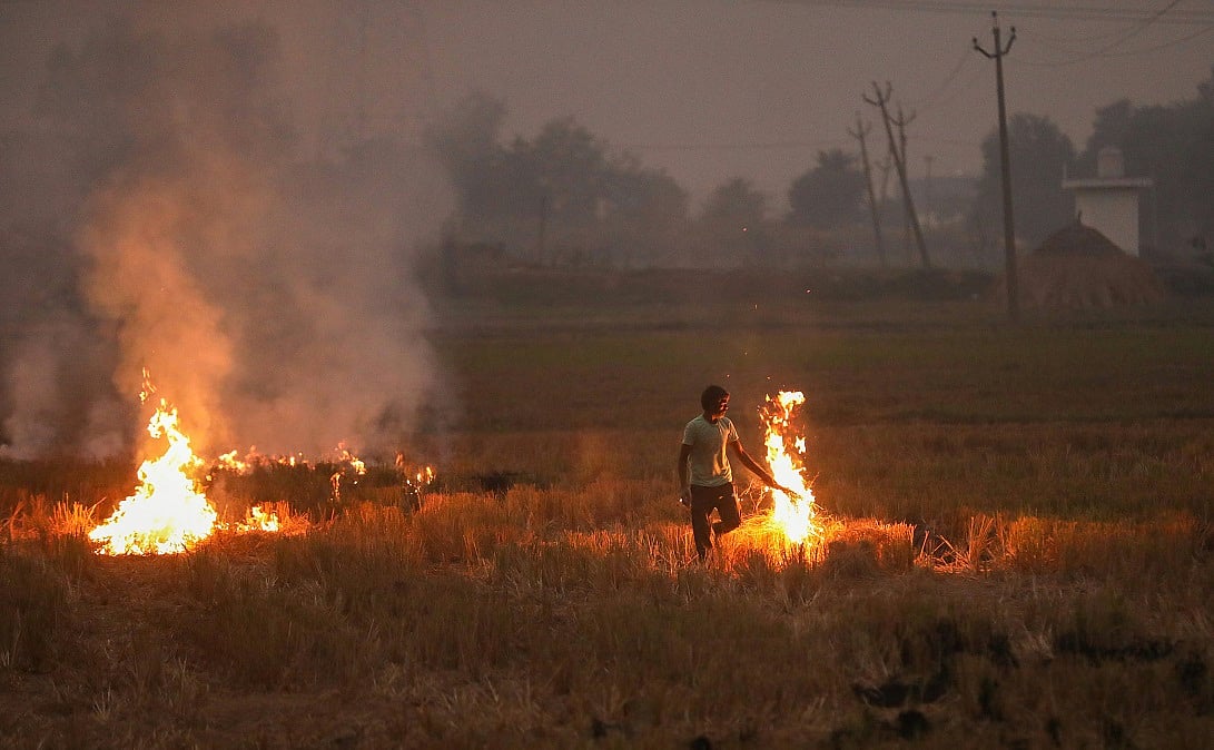 Uttar Pradesh Stubble Fires Surpass Punjab: 2025 Data Insights