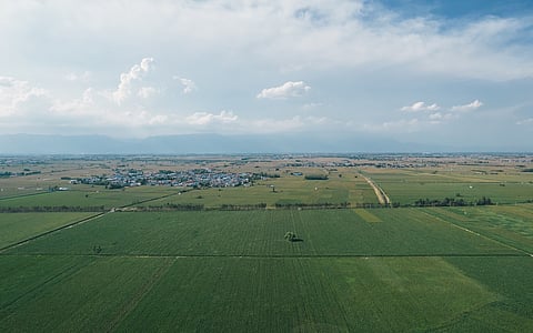 World moving towards widespread consolidation toward larger farms, driven by declining rural populations: Study