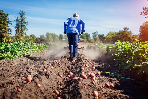 Small farmers need $443 bn a year to adapt — less than what’s spent on harmful farm subsidies