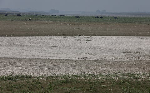 No water for winged visitors to Delhi