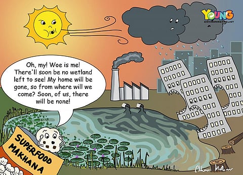 Wetland Woes!