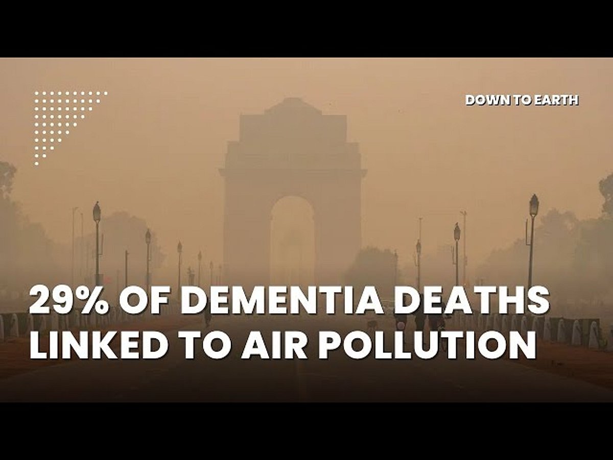 From smog to memory loss: The alarming link between pollution and dementia