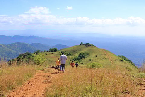 Forests in Western Ghats are also  showing clear signs of vegetation stress and browning. 