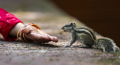 Our deep bond with Nature