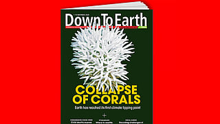 Highlights from the issue