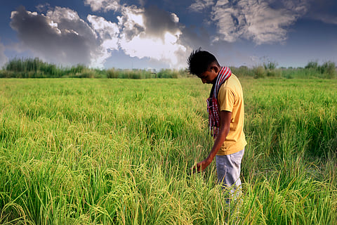 India among countries with highest yield loss due to human-induced land degradation