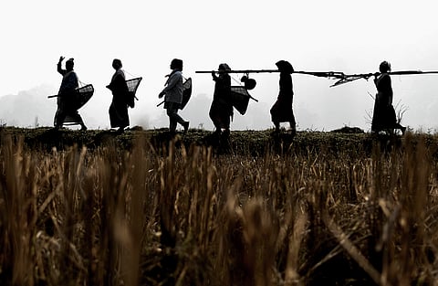 Panama meetings: Delegates outline plan to ensure participation of indigenous, local communities in CBD